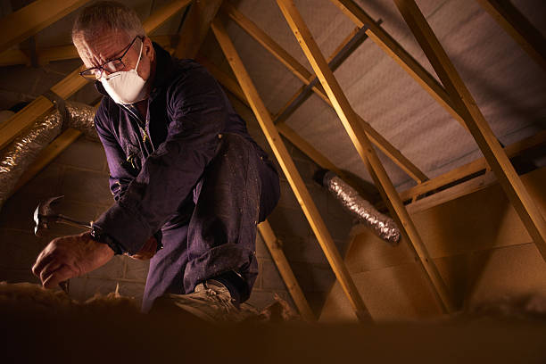 Best Residential Insulation in Grand Prairie, TX